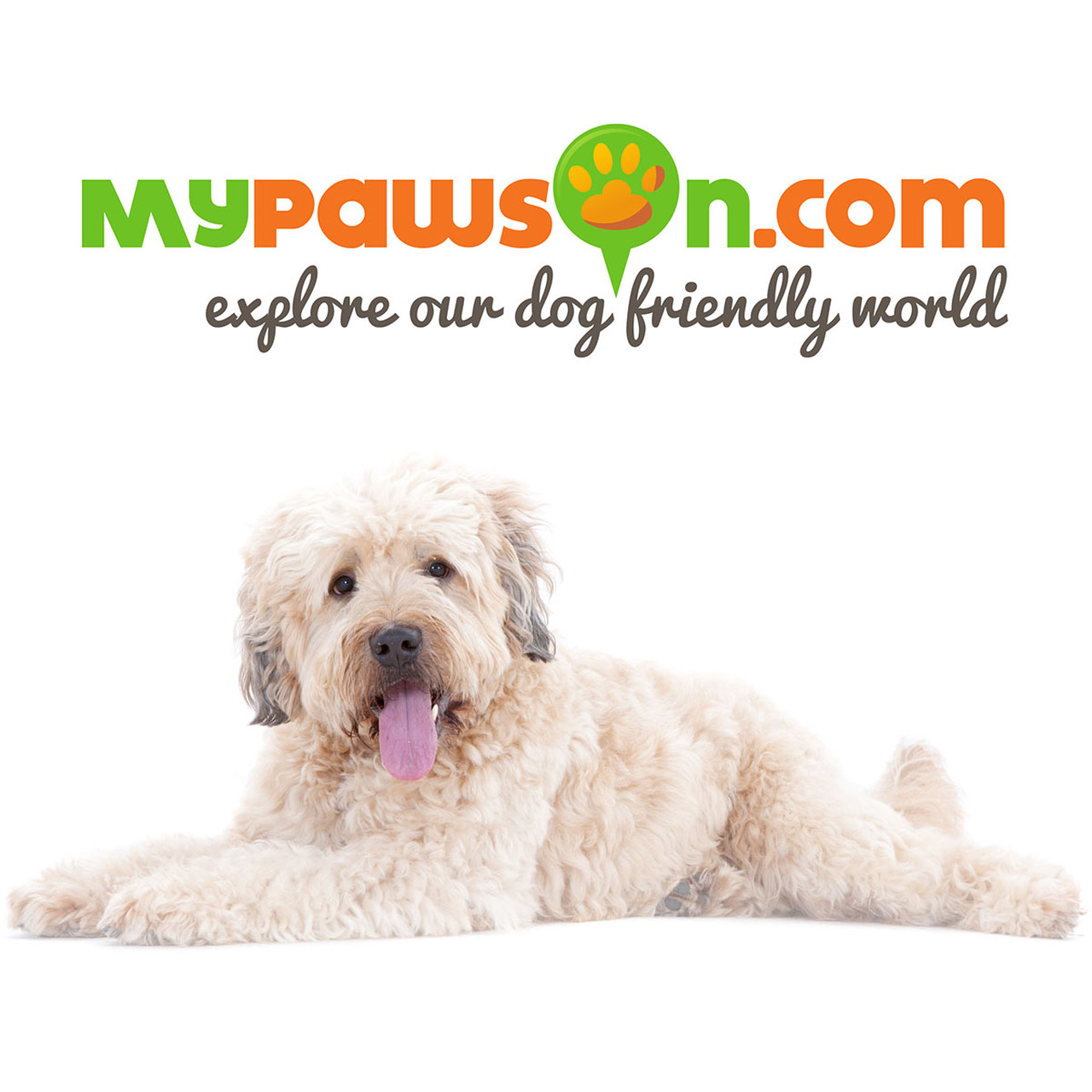 Yellow Dog UK Some Dogs Need Space