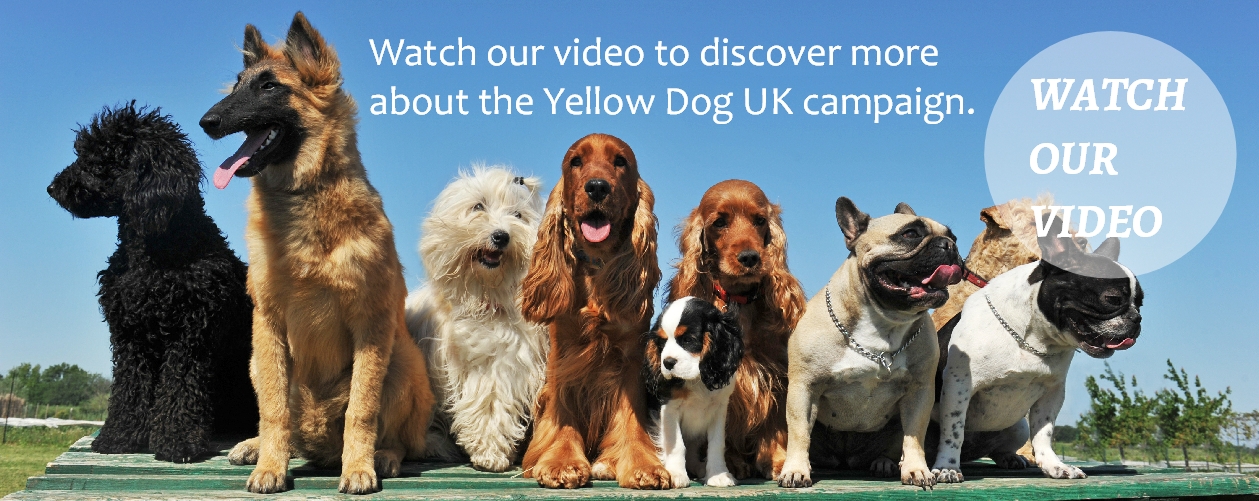 Yellow Dog UK Some Dogs Need Space