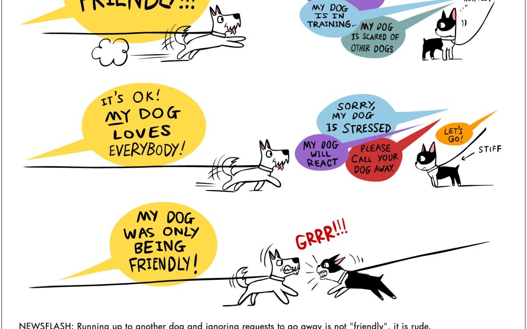 WHY SPACE ETIQUETTE FOR DOGS IS SO IMPORTANT IN WALK YOUR DOG MONTH 2024 !