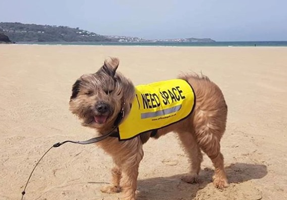 Oh We Do Like To Be Beside The Seaside!!