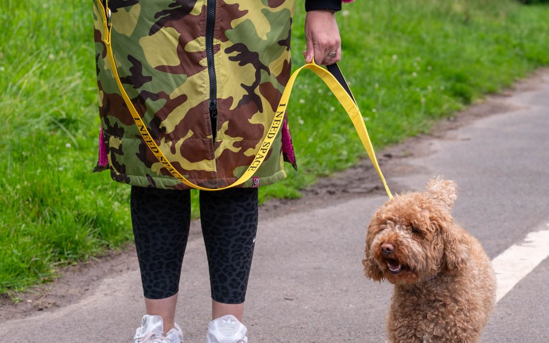 Can Our City Dogs Can Have As Much Fun As Country Dogs?