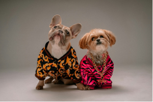 National Pet Month